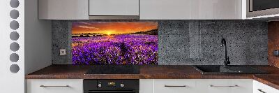 Glazen achterwand keuken Lavendelveld