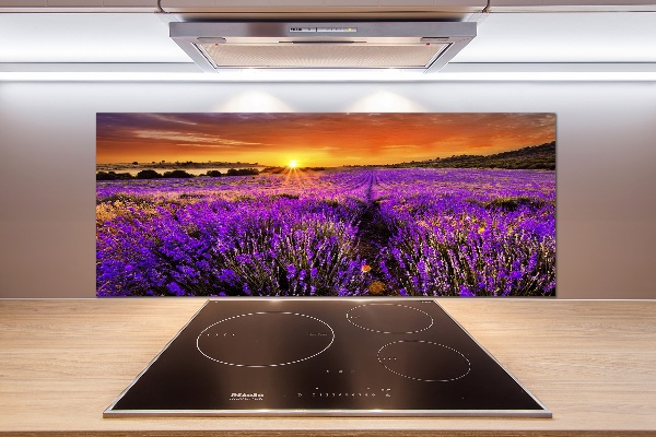 Glazen achterwand keuken Lavendelveld