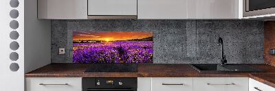 Glazen achterwand keuken Lavendelveld
