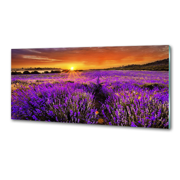 Glazen achterwand keuken Lavendelveld