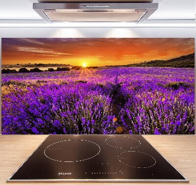 Glazen achterwand keuken Lavendelveld