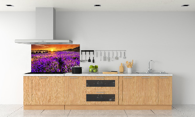 Glazen achterwand keuken Lavendelveld