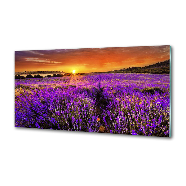 Glazen achterwand keuken Lavendelveld