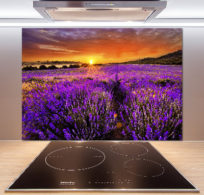 Glazen achterwand keuken Lavendelveld
