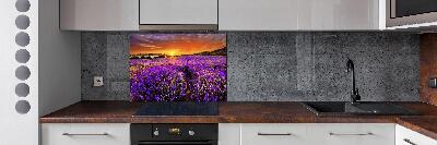 Glazen achterwand keuken Lavendelveld