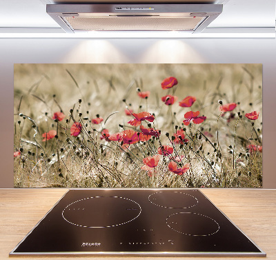 Spatplaat keuken Klaprozen