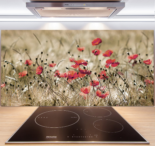 Spatplaat keuken Klaprozen