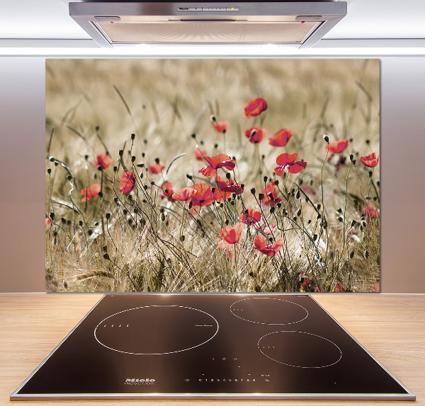 Spatplaat keuken Klaprozen