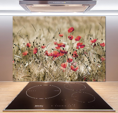 Spatplaat keuken Klaprozen