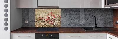 Spatplaat keuken Klaprozen