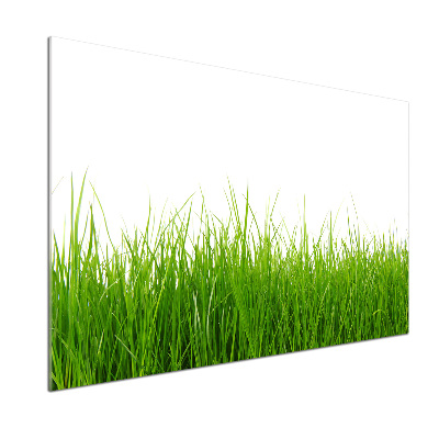 Keuken achterwand Gras