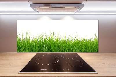 Keuken achterwand Gras