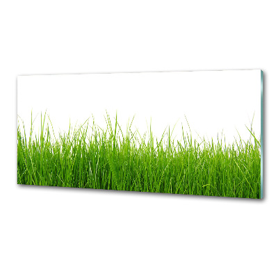 Keuken achterwand Gras