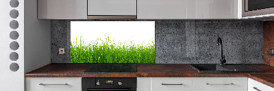 Keuken achterwand Gras