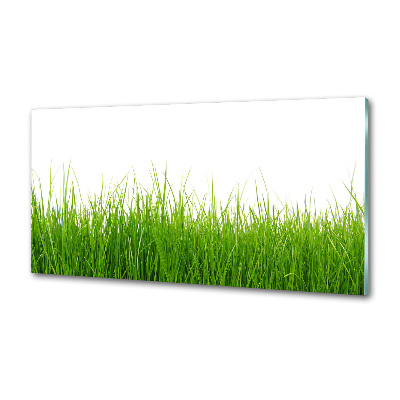 Keuken achterwand Gras
