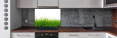 Keuken achterwand Gras