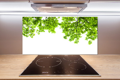 Glazen achterwand keuken Eikenbladeren