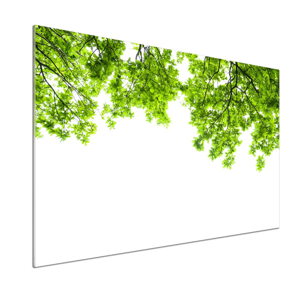 Panel dekor szkło Liście dębu