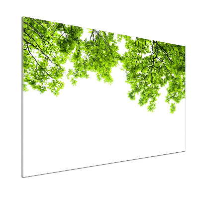 Panel dekor szkło Liście dębu