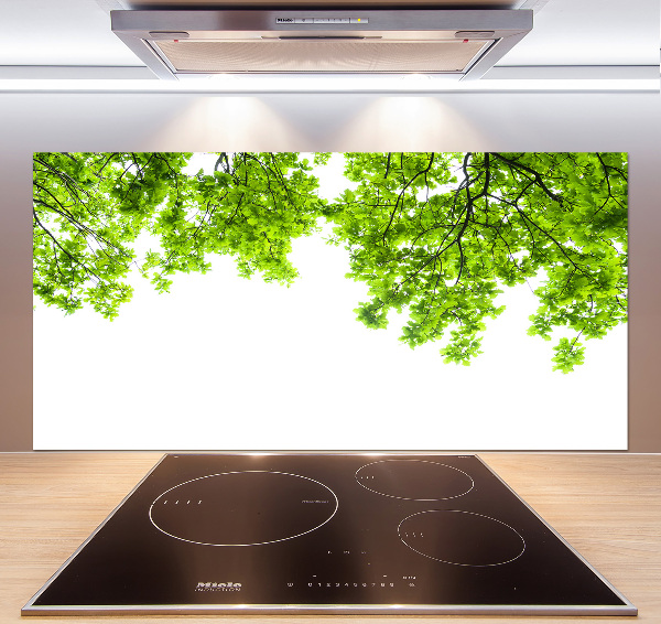 Glazen achterwand keuken Eikenbladeren