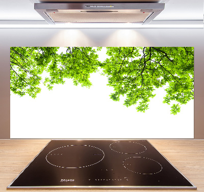 Glazen achterwand keuken Eikenbladeren