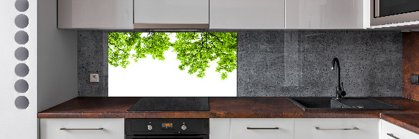 Glazen achterwand keuken Eikenbladeren