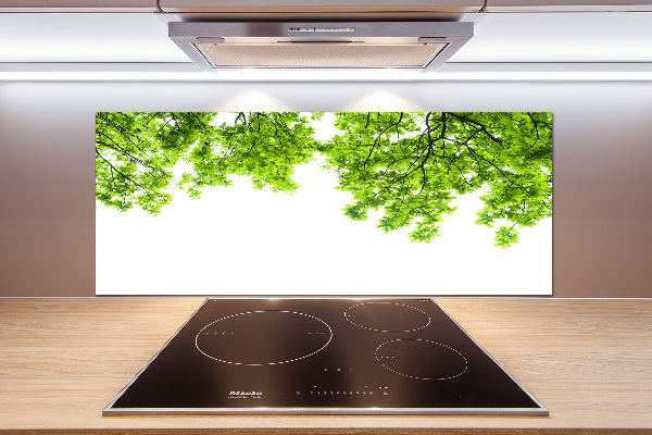 Glazen achterwand keuken Eikenbladeren