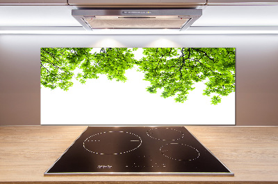 Glazen achterwand keuken Eikenbladeren