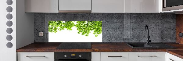 Glazen achterwand keuken Eikenbladeren