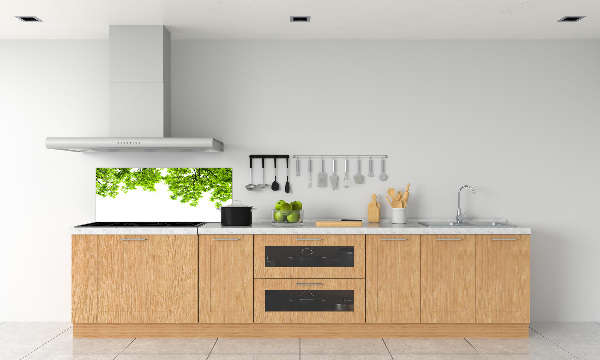 Glazen achterwand keuken Eikenbladeren