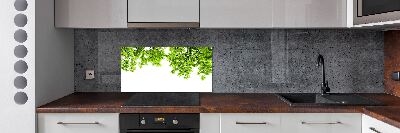 Glazen achterwand keuken Eikenbladeren