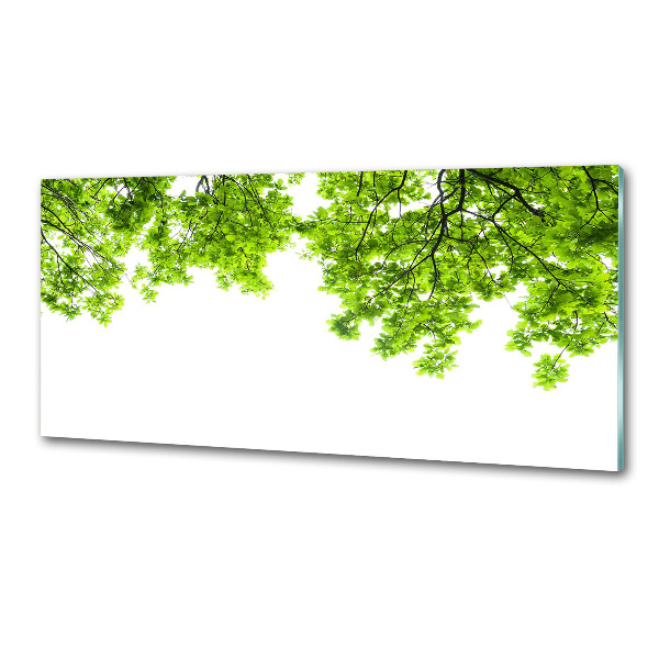Panel dekor szkło Liście dębu