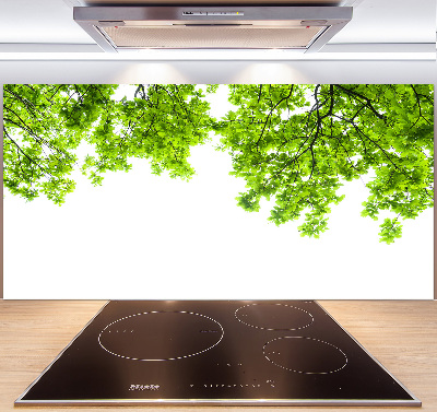 Glazen achterwand keuken Eikenbladeren