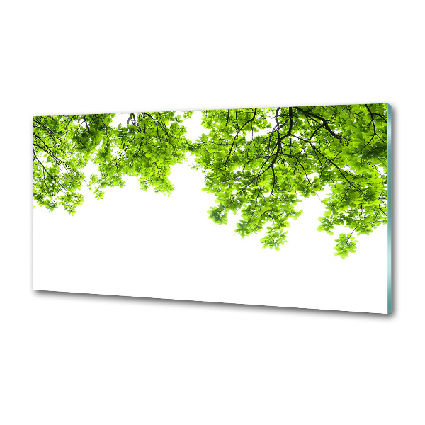 Glazen achterwand keuken Eikenbladeren