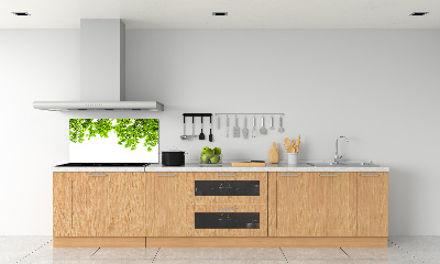 Glazen achterwand keuken Eikenbladeren