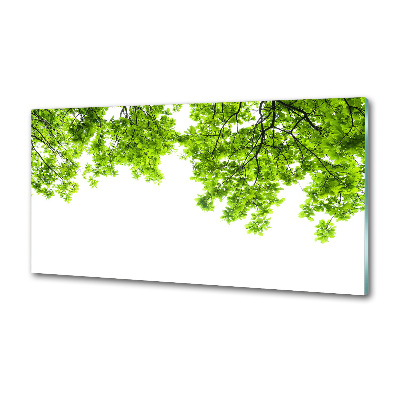 Glazen achterwand keuken Eikenbladeren