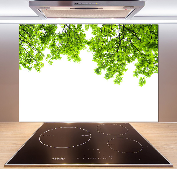 Glazen achterwand keuken Eikenbladeren
