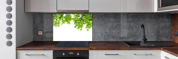 Glazen achterwand keuken Eikenbladeren