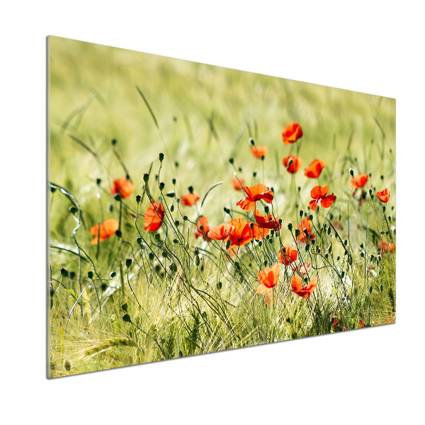 Panel szklany do kuchni Maki