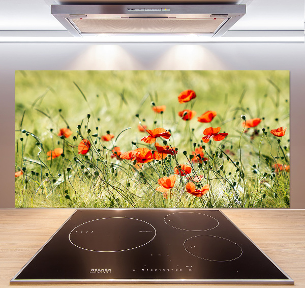 Achterwand keuken Klaprozen