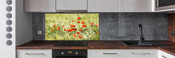 Achterwand keuken Klaprozen