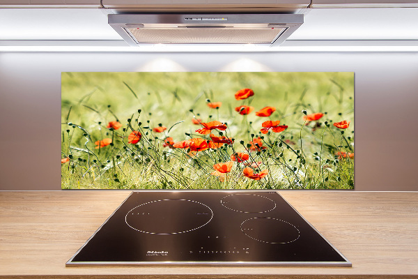 Achterwand keuken Klaprozen
