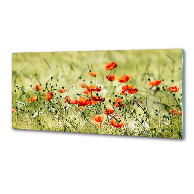 Panel szklany do kuchni Maki