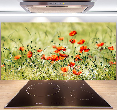 Achterwand keuken Klaprozen