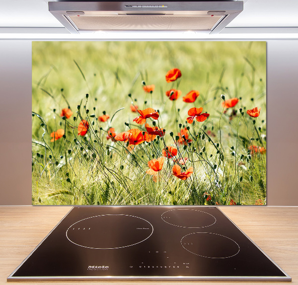 Achterwand keuken Klaprozen
