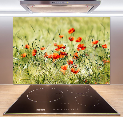 Achterwand keuken Klaprozen