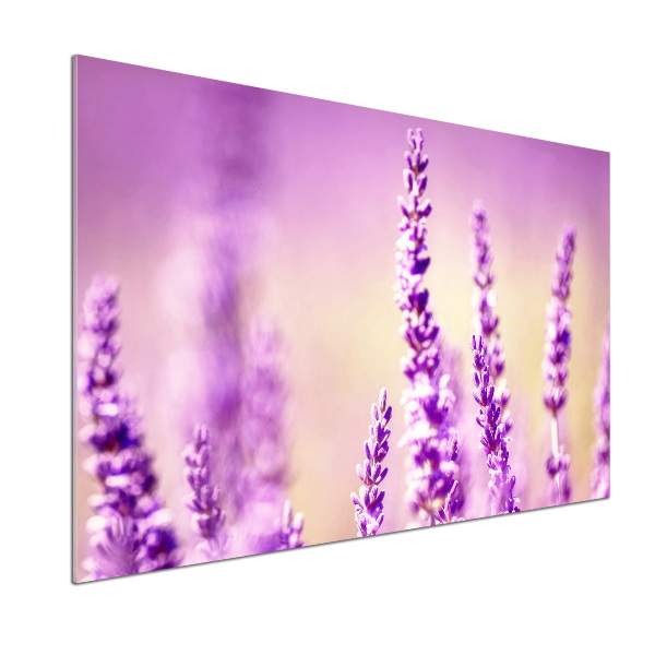 Spatscherm keuken Lavendel