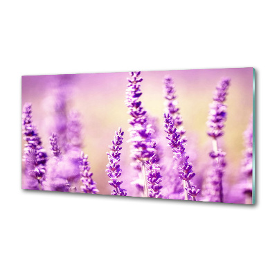 Panel szklany do kuchni Lawenda