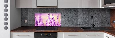Spatscherm keuken Lavendel