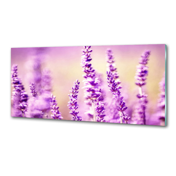 Spatscherm keuken Lavendel